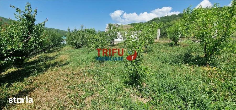Teren de 582 mp, în Meteș