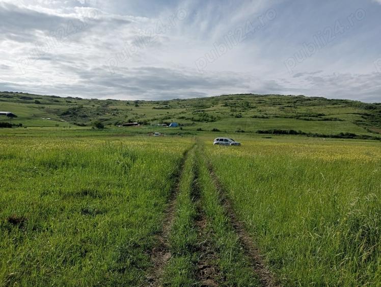 Teren de 1300 mp, în Chinteni