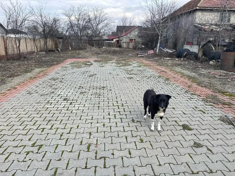 Teren de 800 mp, în Central