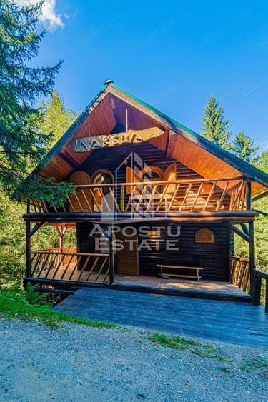 Pensiune, casa de vacanta, 6 camere, statiunea Rausor din Hunedoara - 8