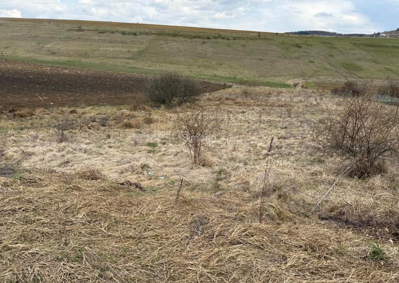 Teren pentru constructie casa in Salicea
