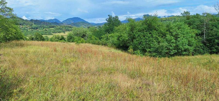 Teren pentru Casa de Vacanta - 5