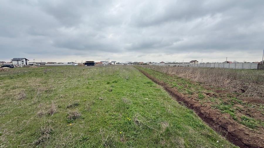 REL4001110 Teren I De Vanzare I Clinceni - 3