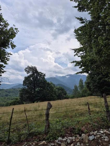 Teren extravilan 13.800 mp Ra?nov, Glajarie priveli?te superba, oportunitate de investi?ie - 6