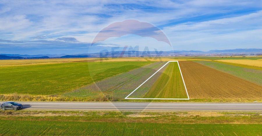 Teren 10,000mp Tarlungeni - 3