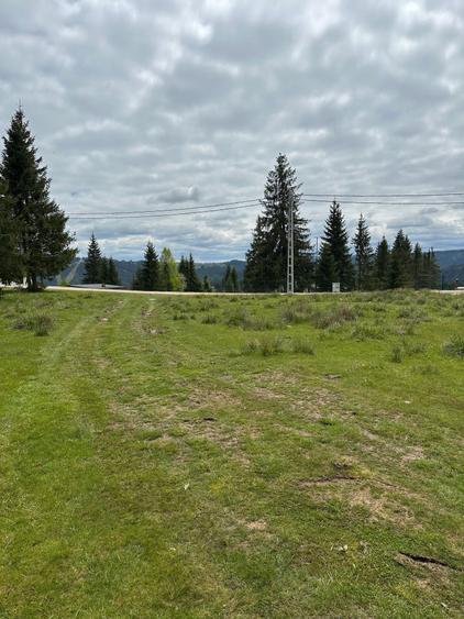 Teren Belis jud. Cluj - 2