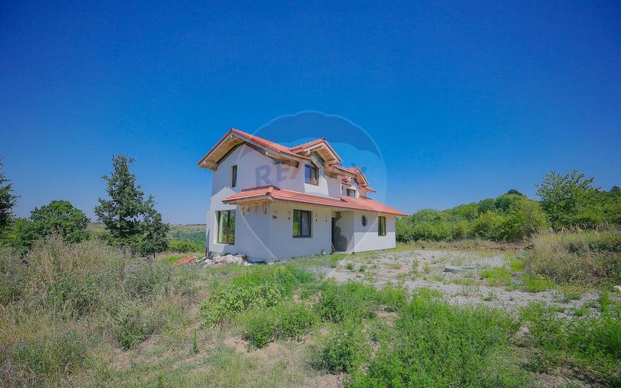 De vanzare casa cu un proiect deosebit, la ro?u , Str.... - 17