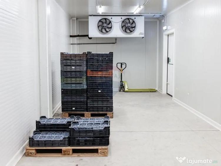 Plantatie de afin din Romania BUSINESS DE VANZARE - 10