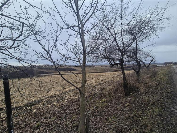 Teren Moara Nica - zona Scolii - 2