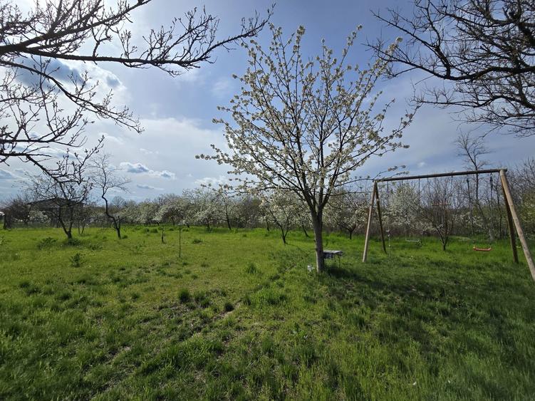 Vand casa cu teren in comuna Baneasa judetul Giurgiu - 5