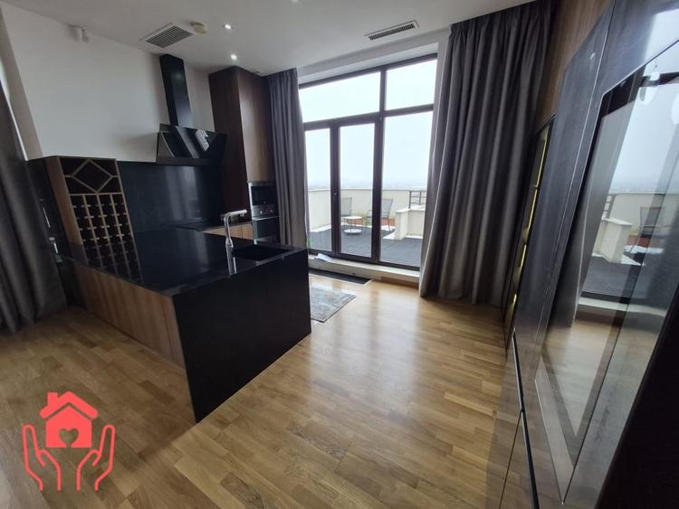 IANCU NICOLAE (ZOO)-PENTHOUSE 250 mp utili + 250 mp terasa, 3 dormitoare! - 38