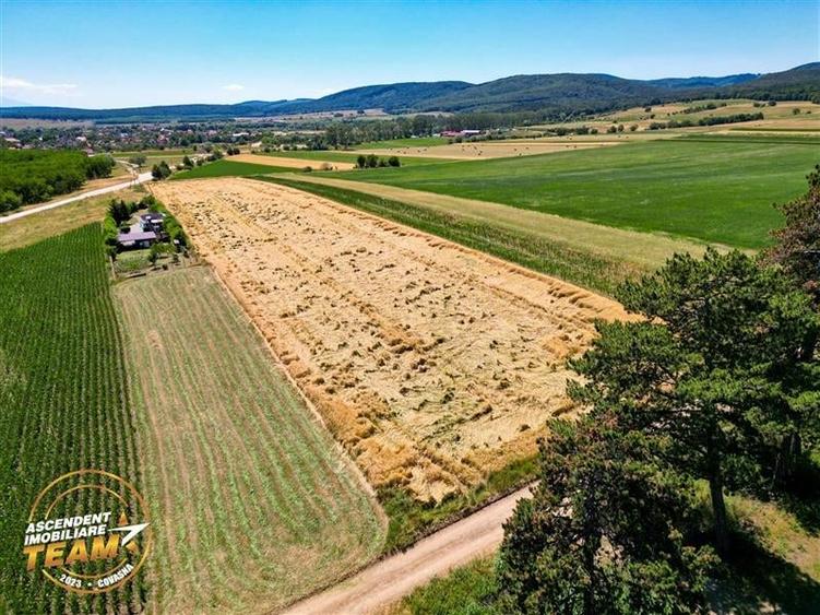 FILM! Valea Crisului,2.300mp,in vecinatatea lacului,aproape de Sfantu Gheorghe - 4