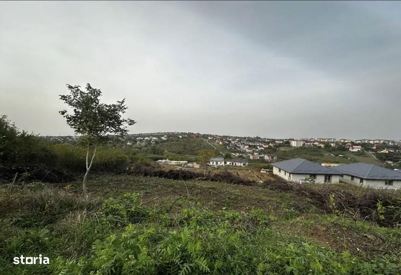 Teren intravilan 1000 mp Miroslava - 2