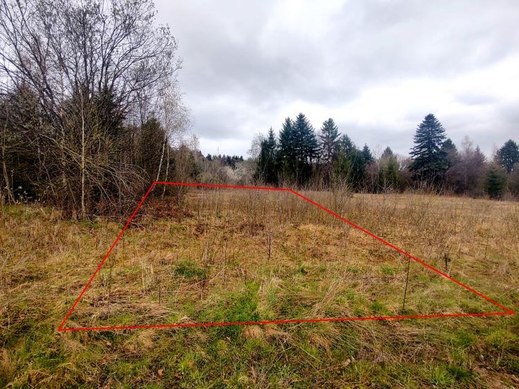 Teren Superb la Munte, Drăguș (BV) – Țara Făgărașului, zonă turistică, cu pârău - 4