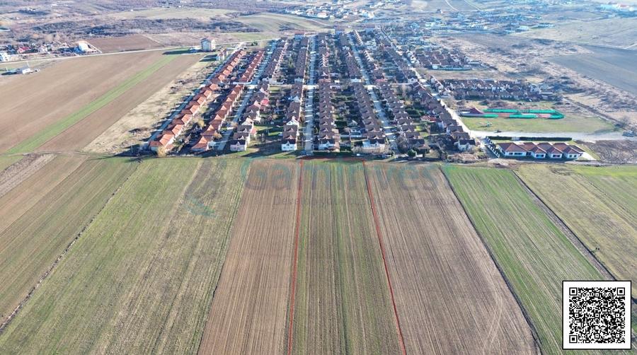 Teren 8632 mp pentru dezvoltare cartier rezidential de case noi, Orizont, Paleu - 2