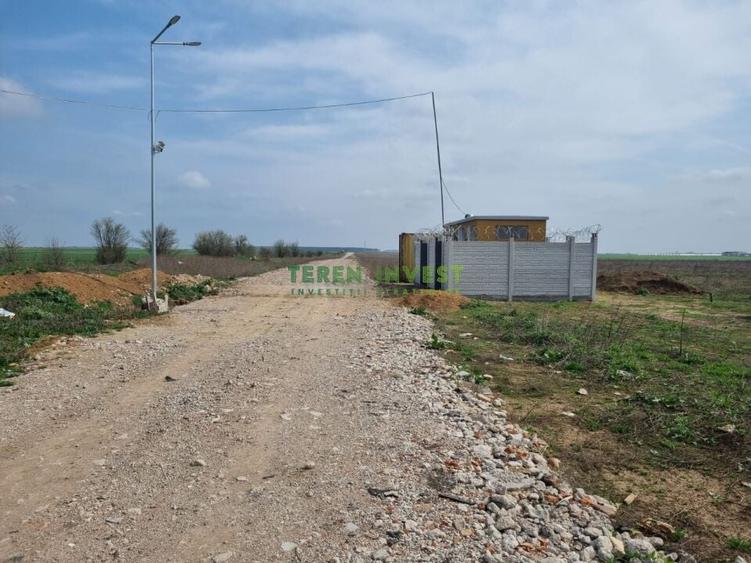 TEREN INDUSTRIAL 20.000 MP - TANGANU - A2 PUZ APROBAT - 7