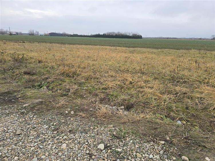 RECO Teren pentru loc de casa cu PUZ Osorhei-Fughiu - 4