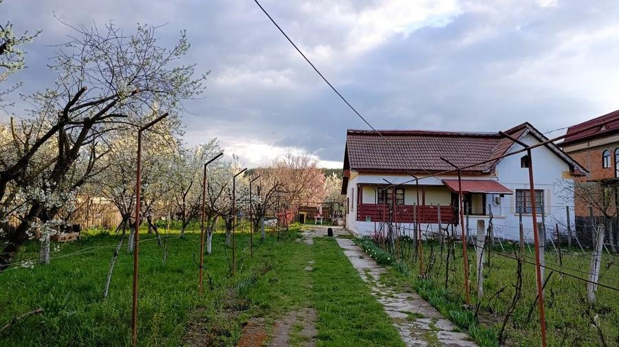 Casa si teren Breasta - 1