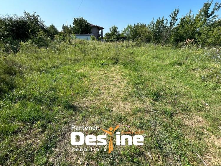 Teren Intravilan - Hlincea (Ciurea) 1000Mp - 5