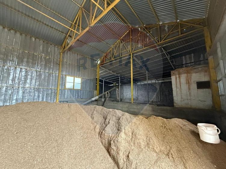 Moara Spatiu Industrial - 32