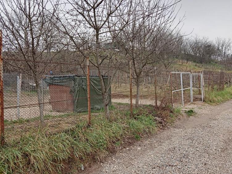 Teren intravilan 500 mp Oradea cu toate utilitatile 32500 euro - 3