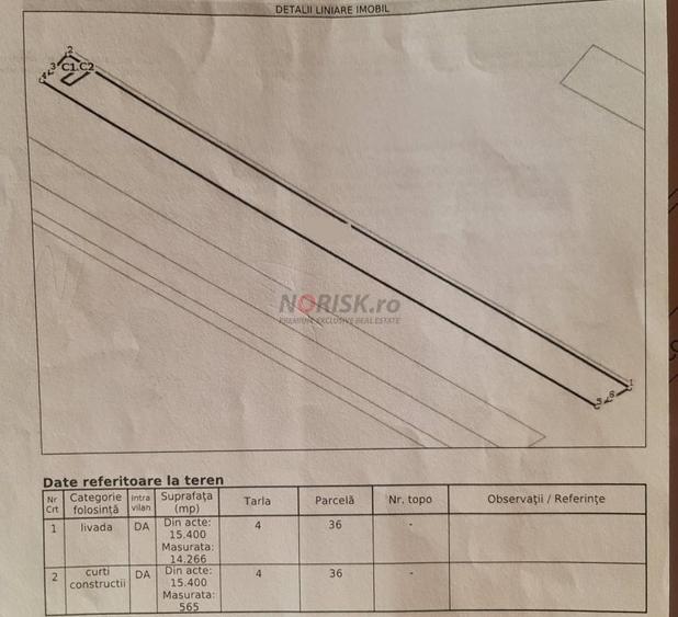 Vila + Afacere 15.000mp Clinceni - 29