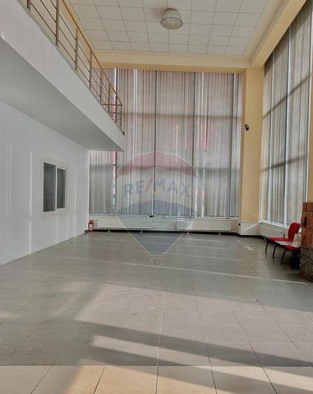 Hala de inchiriat cu birouri in zona Micalaca - 13