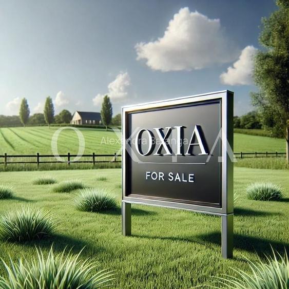 AX1047 Zona Sagului-OMV, Teren Intravilan, Zona Industriala