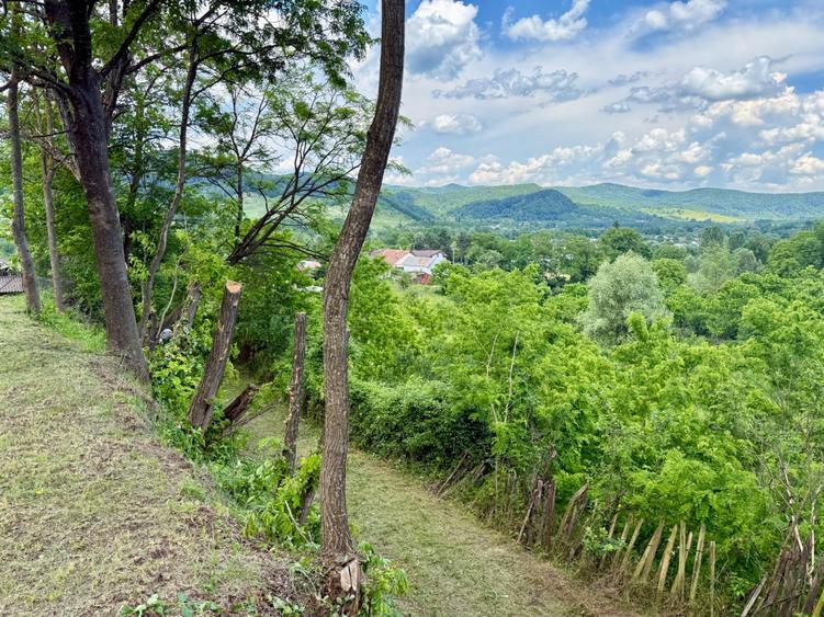 Teren intravilan de vanzare Valea Lunga Ogrea - 5
