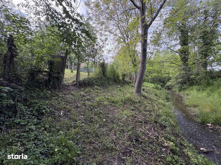 Casa de vanzare Arneag 5 camere zona verde cu acces la rau din gradina - 13