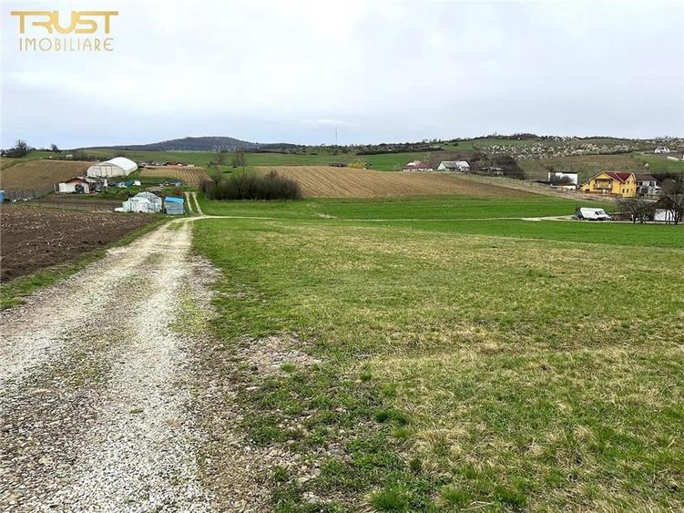 Teren extravilan zona lac Sigmir utilitati - 3