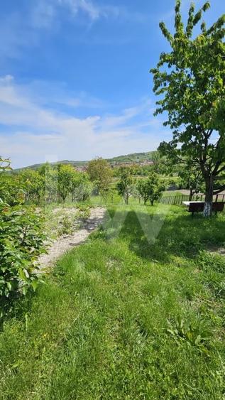 Casa cu poveste si potential – locul perfect pentru un nou inceput in Seica Mare - 20