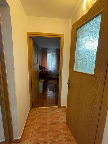 Apartament 2 camere-Podu Ros-Piata Nicolina-etaj intermediar - 8