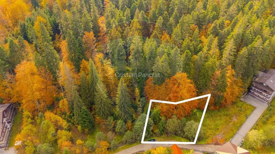 Comision 0 | Teren intravilan de vanzare - Predeal, Brasov 908 mp Comision 0 | Teren intravilan de vanzare - Predeal, Brasov 908 mp