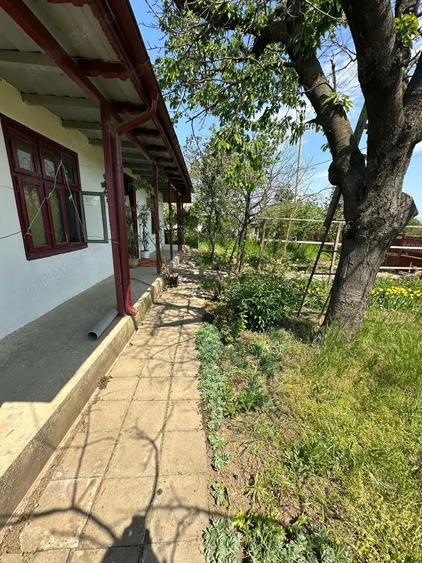 Casa batraneasca de vanzare - 9