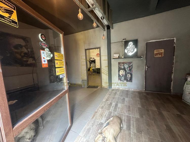 Vanzare - Proprietate cu Potential-Locuinta si Business - 42