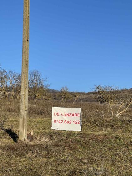Teren de vanzare - 2