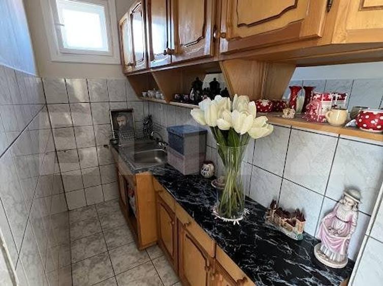 Vila individuala, 190 mp, 8 camere, garaj, curte, zona Lipovei-Timisoara - 10