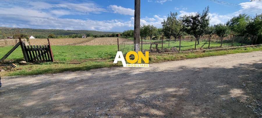 De vanzare 4003mp teren , Oarda de Sus - 1