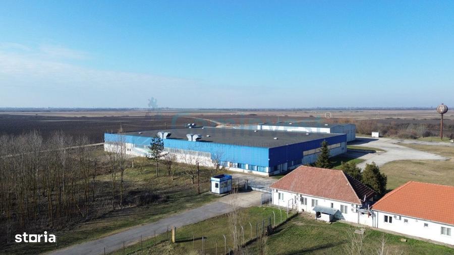 Hala Industriala 6500 mp,Madaras la 30 km de Oradea,Gaminvest,v4077 - 6