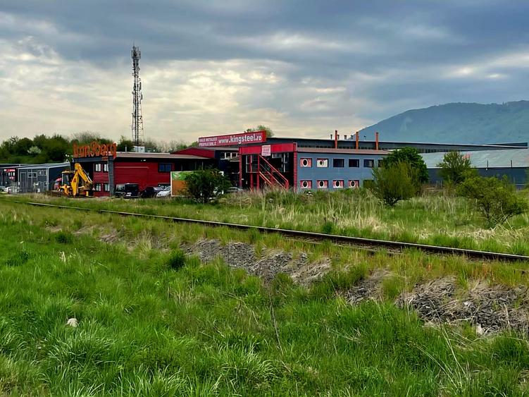 Hala Industriala, zona Ina Schaeffler , 530 mp utili - 15