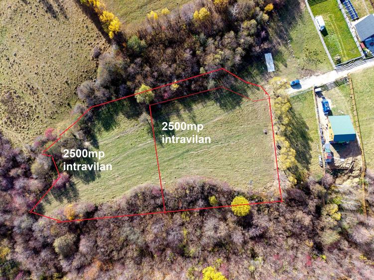 Teren intravilan 2500mp Tohanita Zarnesti- ideal casa de vacanta - 1