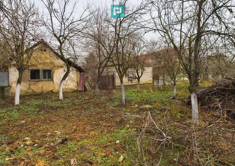 Teren cu casa demolabila in Sustra - 6