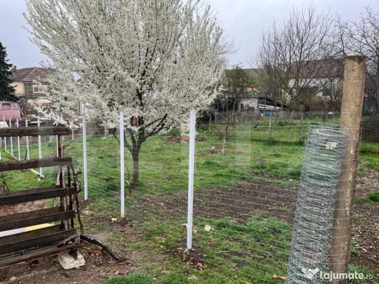 Doua case intr-o curte de 952 mp, Paleu-liniste, spatiu, po - 1