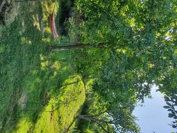 Teren si casa de vacanta ecologica in Stancesti - 10