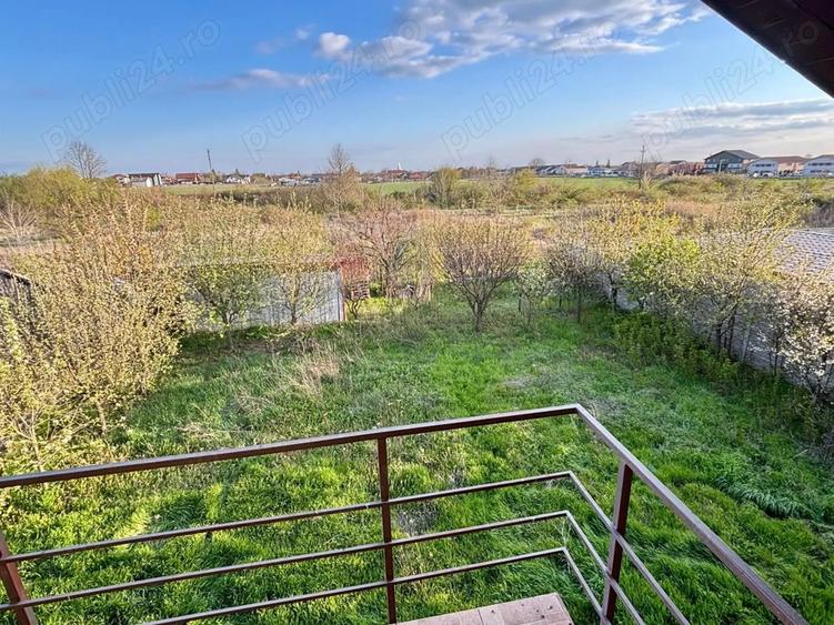 Casa Sinandrei Timis - 4