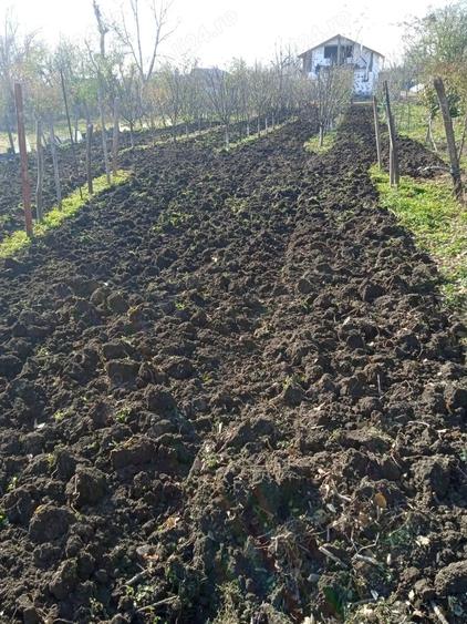 Vand Teren+Casa Batraneasca Olarii Vechi, Prahova - 5