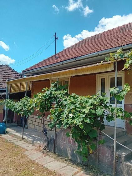 Vand casa la tara - 4