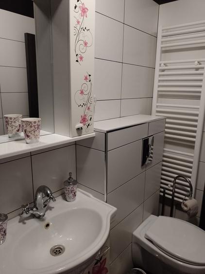 Garsoniera decomandata zona Far/Bila - 2