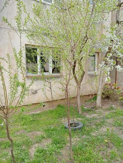 Vand garsoniera cu cedare contract imbunata?ita par?ial aprobari gaz wc cu rezervor cada chiuvete - 3